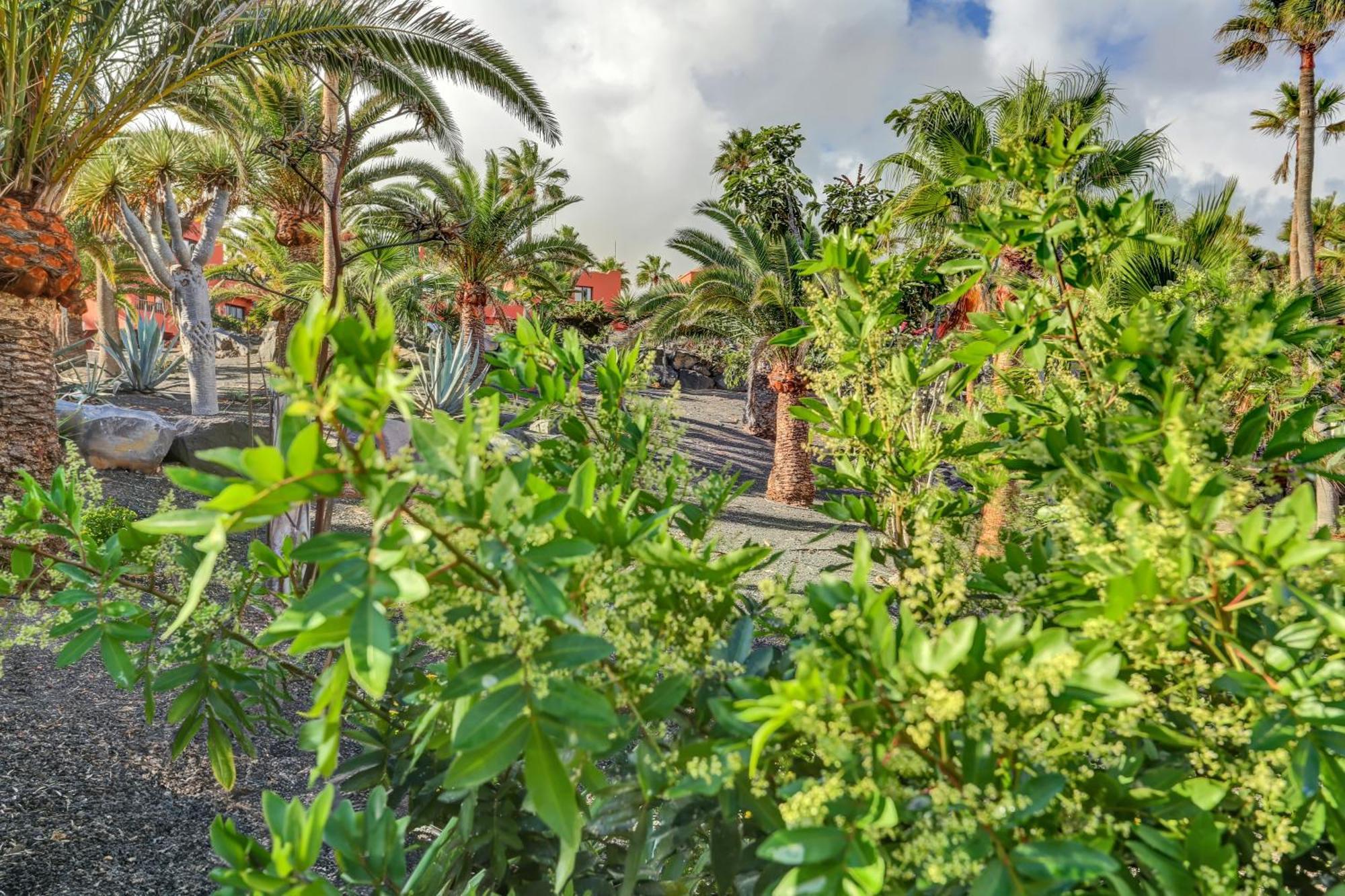 Appartement Oasis Royal à Corralejo Extérieur photo