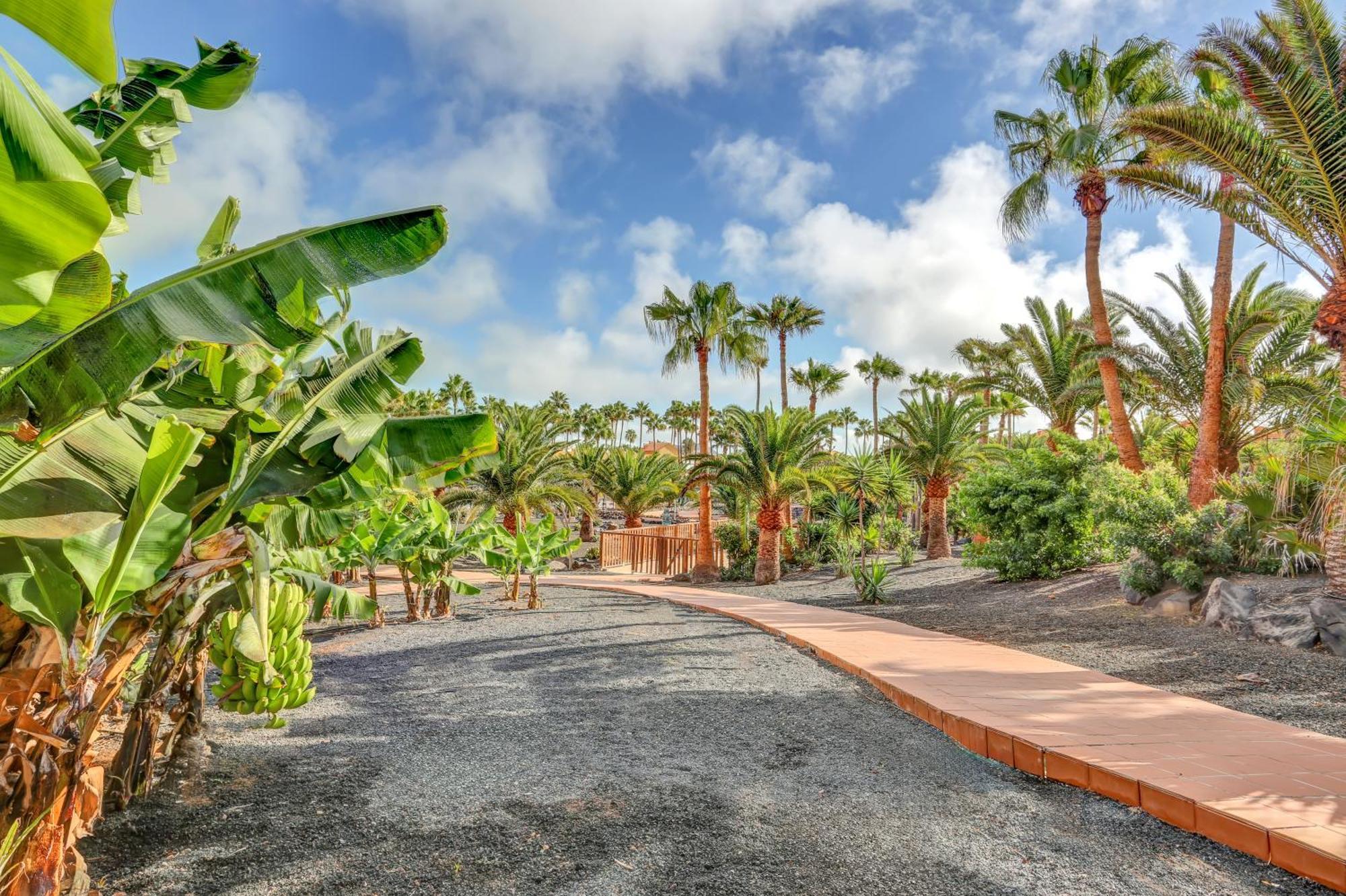 Appartement Oasis Royal à Corralejo Extérieur photo